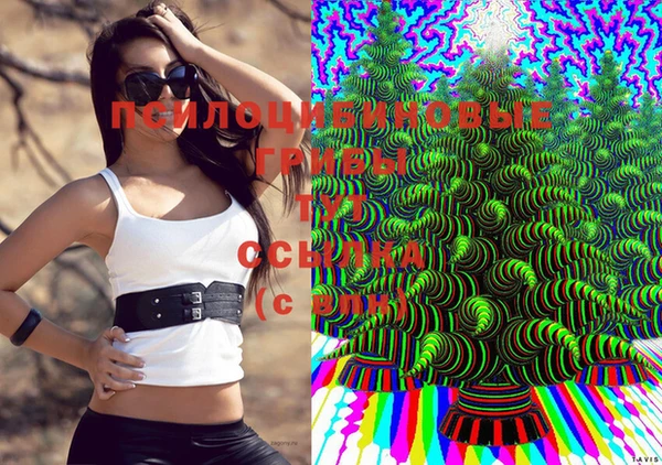 apvp Вязники